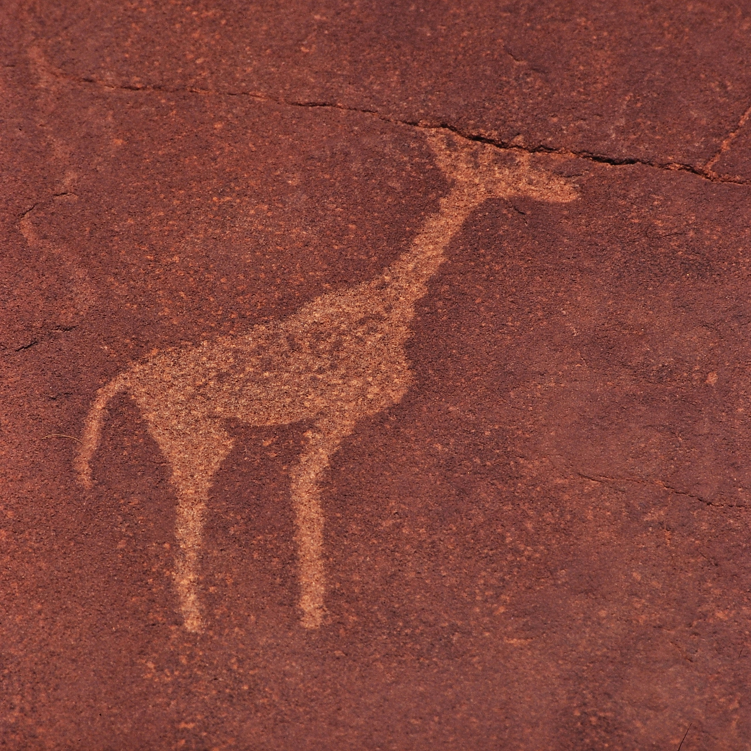 giraffe2c_twyfelfontein